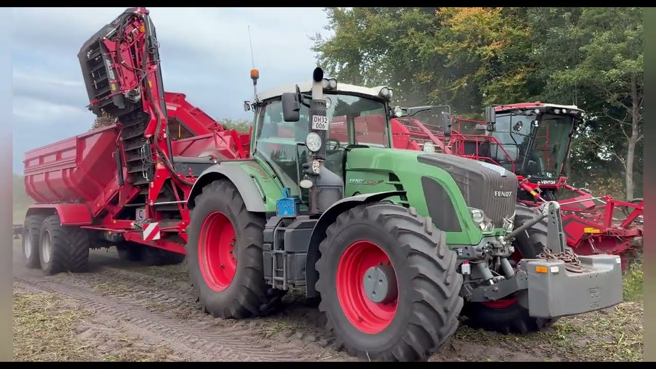 Året der gik 2025