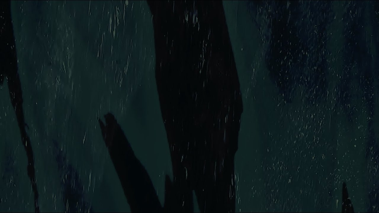 Ombrée - Foie