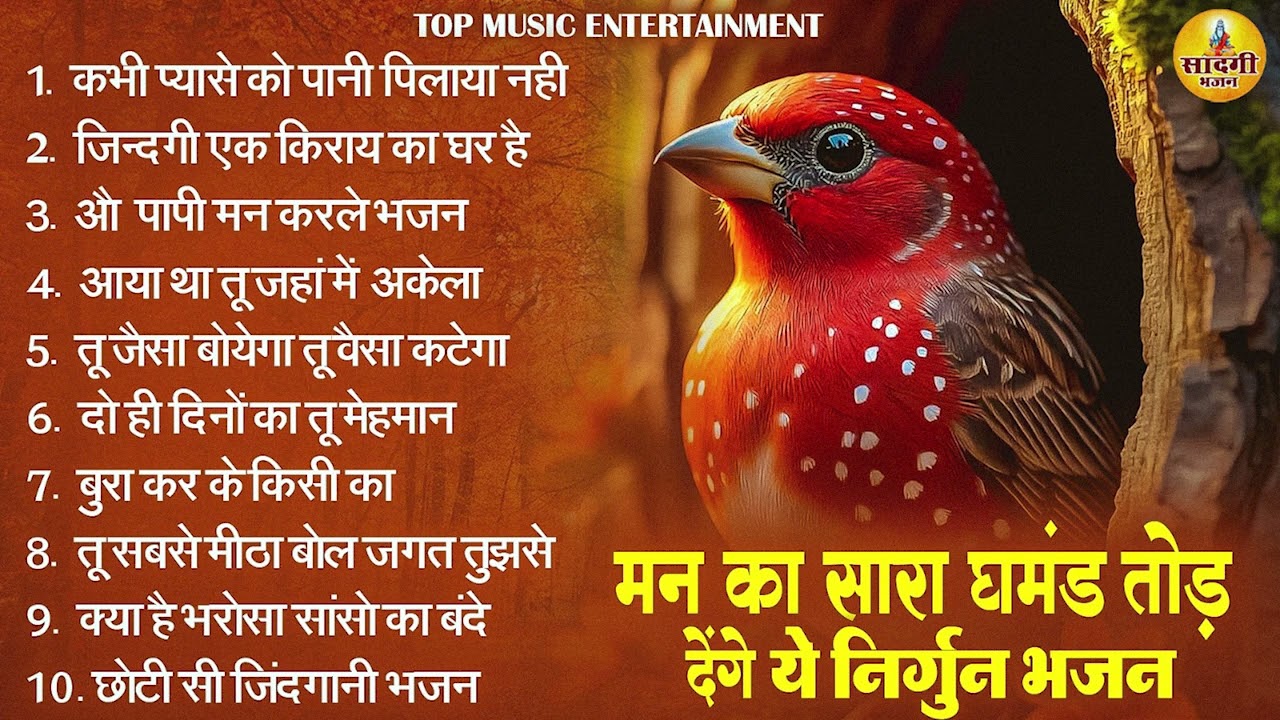 कलेजा फट जाएगा इतने भावपूर्ण है ये निर्गुण भजन | Nonstop Nirgun Bhajan | Chetawani Bhajan 2026