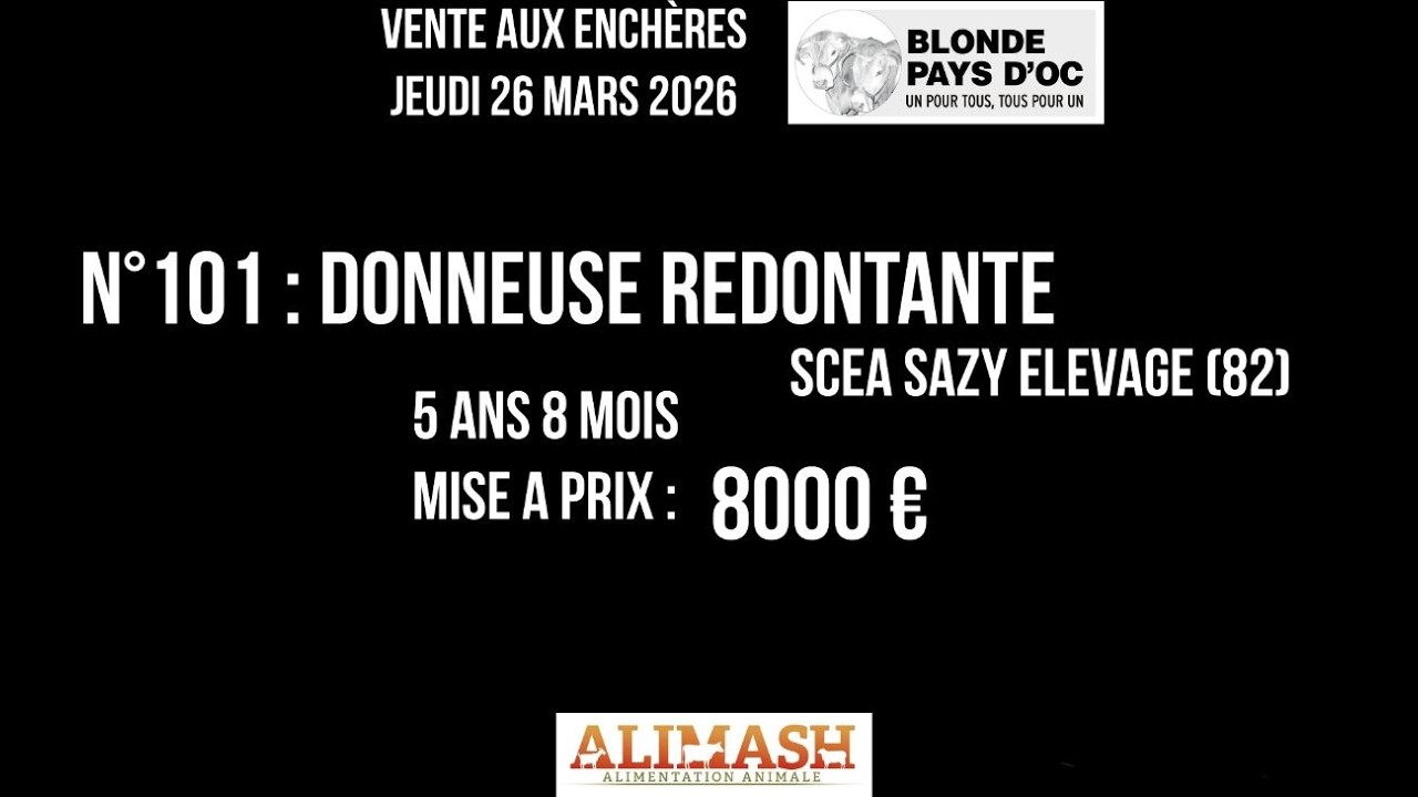 101 DONNEUSE REDONDANTE   Vente Bexianis 2026   Blonde Pays d'Oc