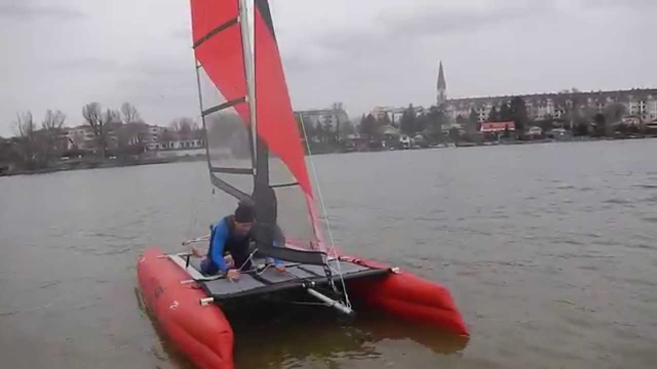 Happy Cat Evolution - alte Donau
