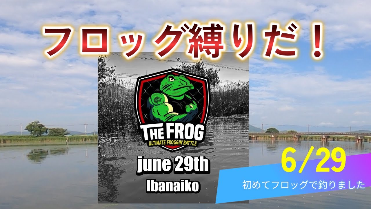 【THE FROG】フロッグオンリーの大会に出てきたよ。【伊庭内湖】