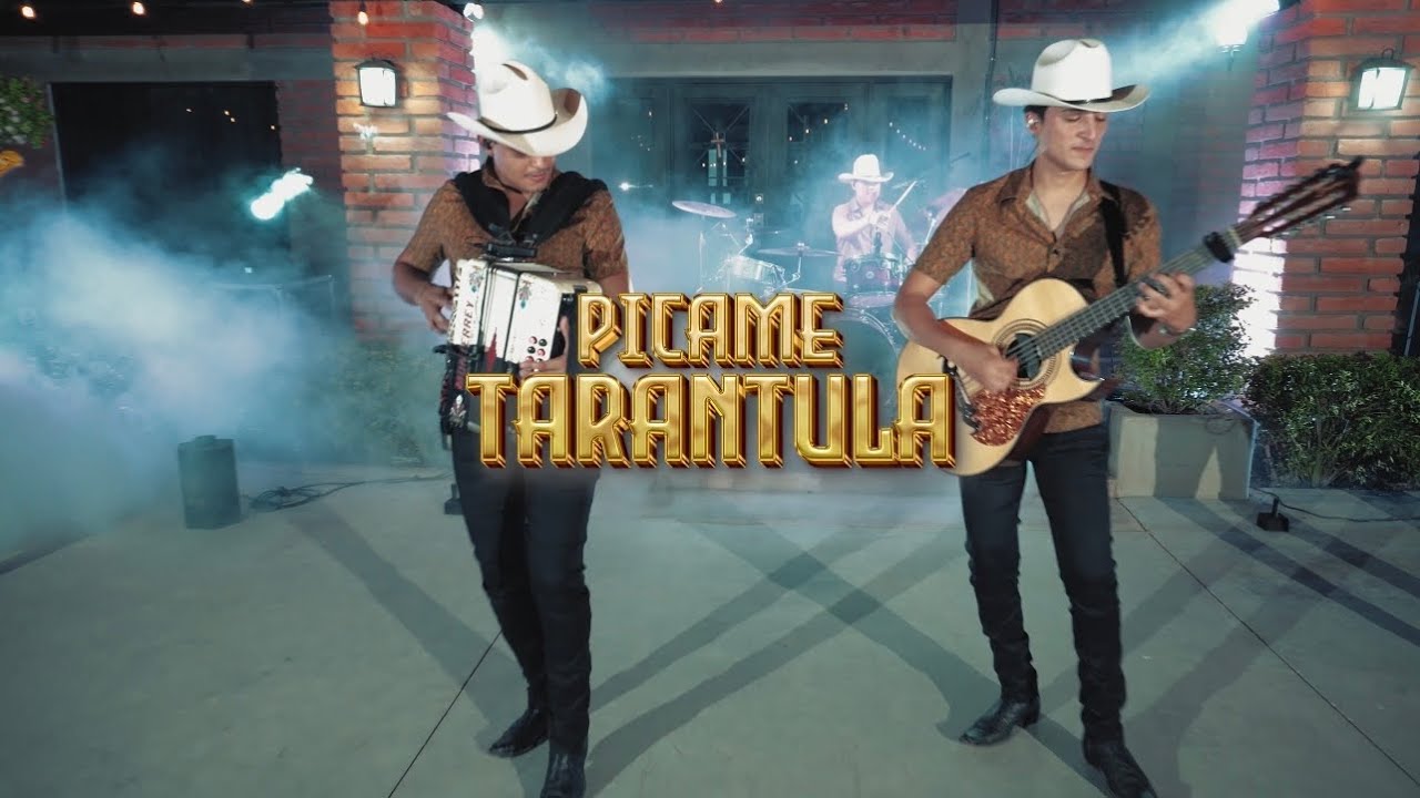 Grupo Frialdad - Picame Tarantula (En Vivo)