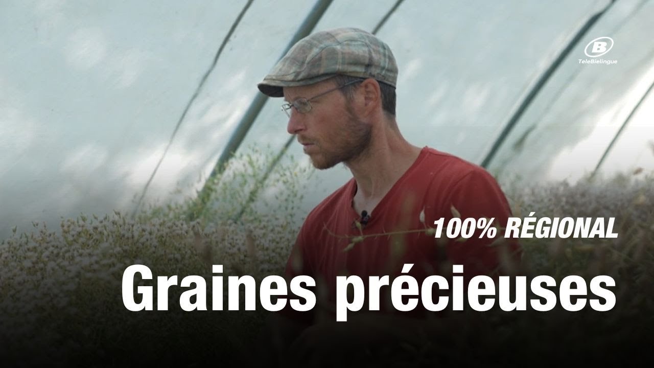 100% REGIONAL - Graines précieuses