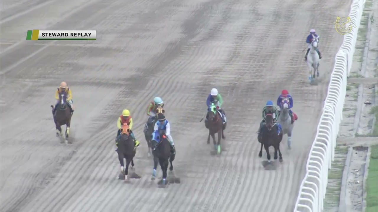 FRONTAL RACE 2 MAR 14 2026