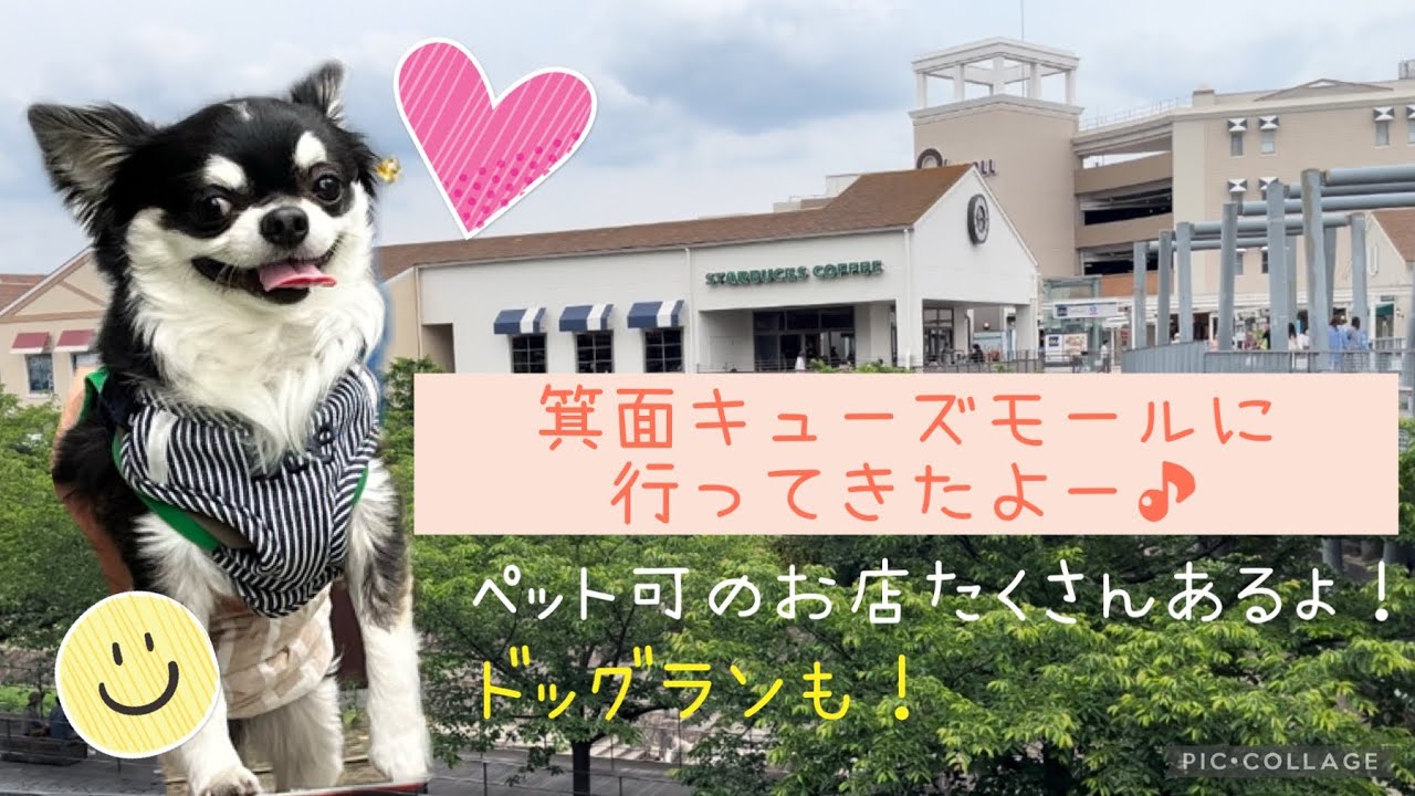 ペット可U・x・U箕面キューズモールに行ってきました♪
