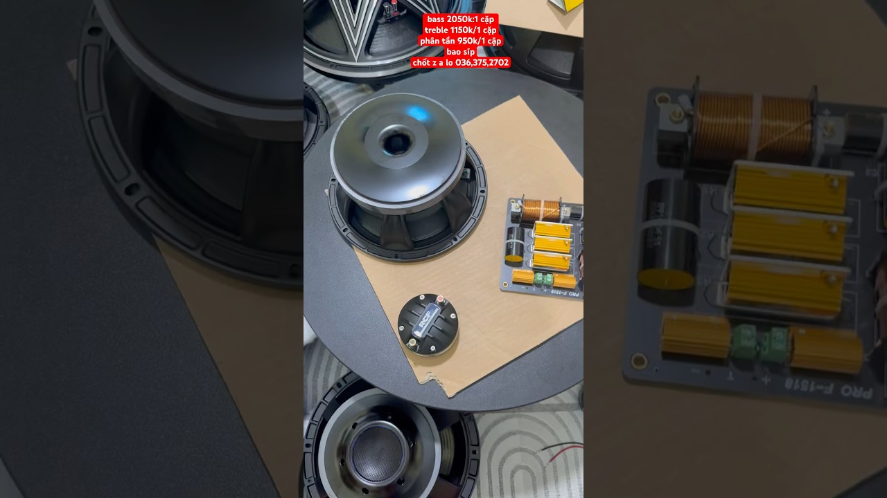 combo loa bass 25 nr350a từ 190 coil 76 l&ecirc;n th&ugrave;ng cực hay