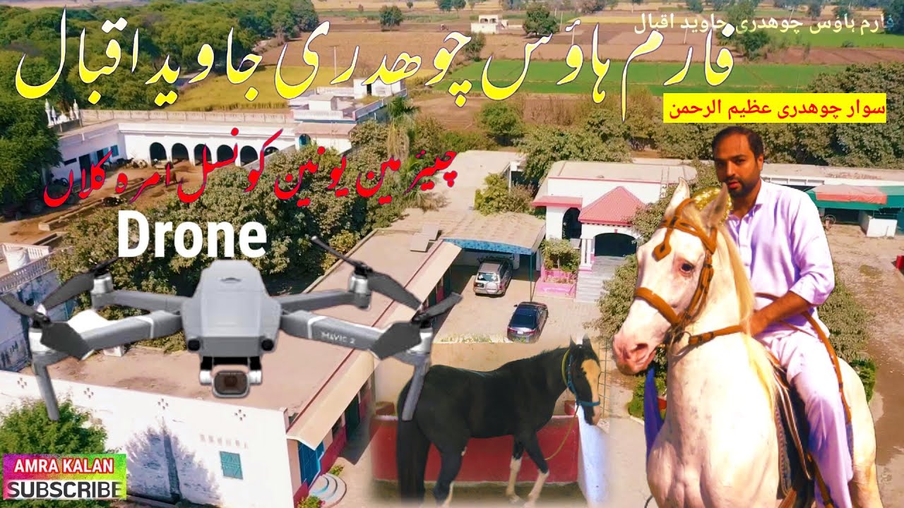 Beautiful Horses Farm House Ch Javed Iqbal Chairman Union Council Amra kalan P 1