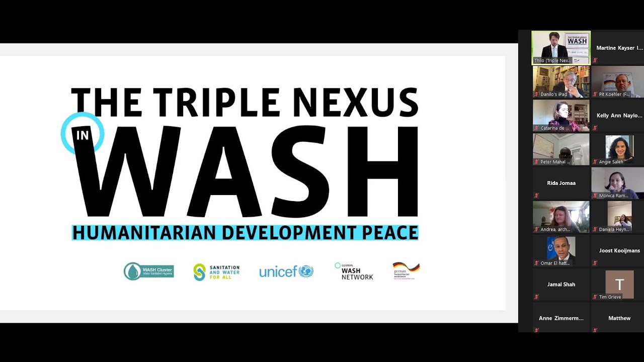 The Triple Nexus WASH - Event, Opening Panel