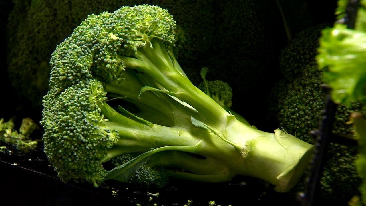 Natural Compound in Broccoli May Slow Aging Process