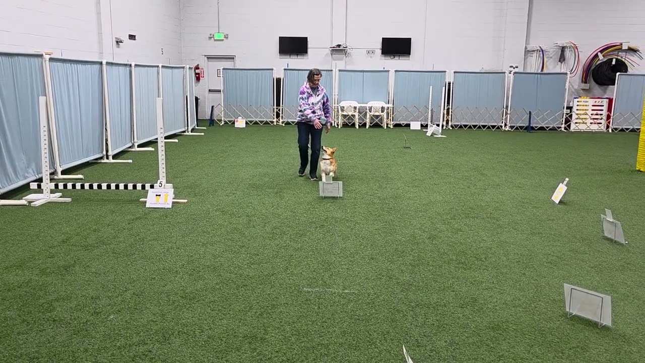 Bailey Excellent Rally practice ODTC 3/8/26