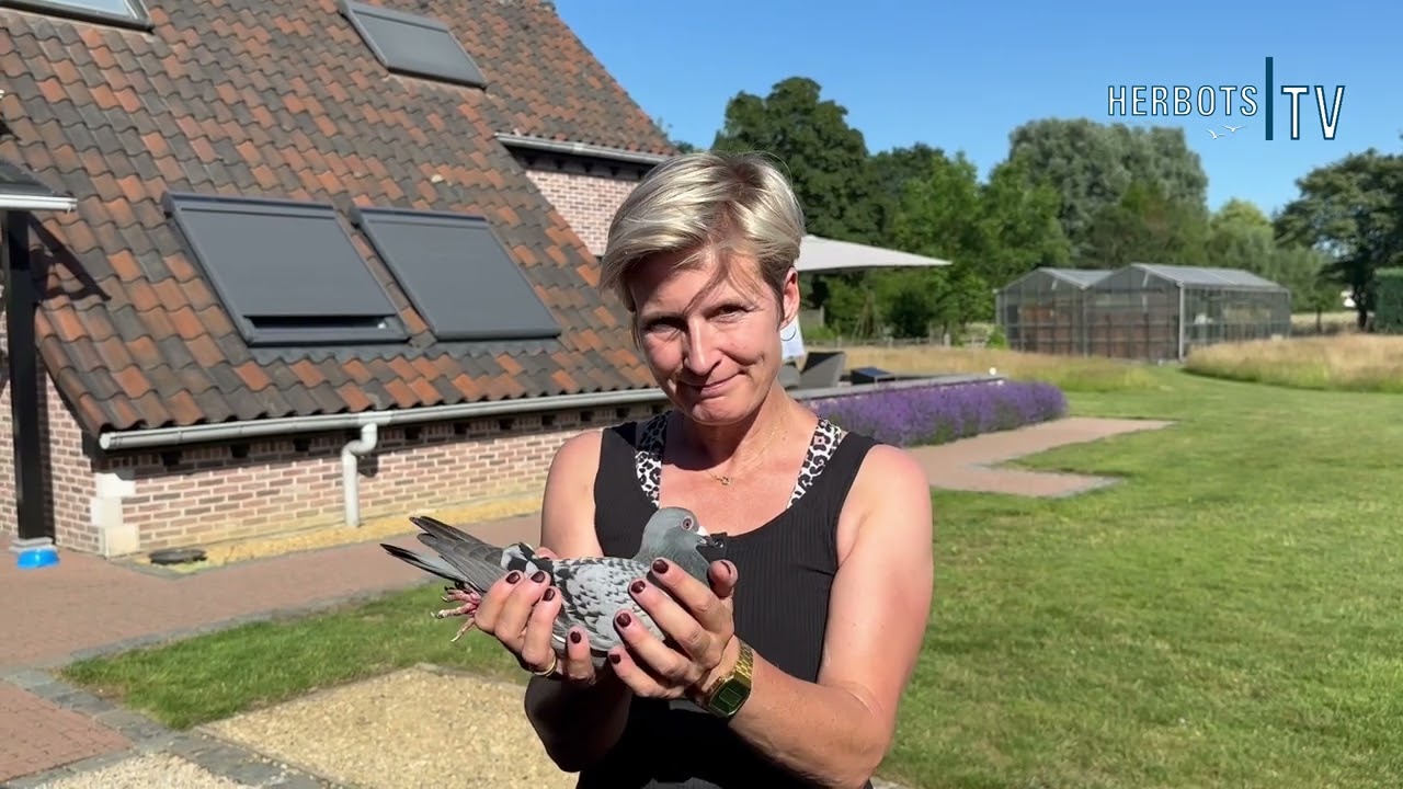 Vereecke Esther (Beerzel): 1st National Argenton 11,259 old birds 2023