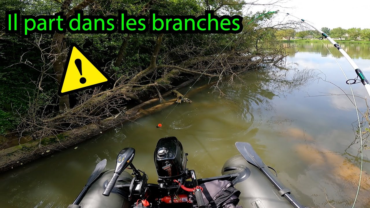 PECHE DU SILURE EN SAONE