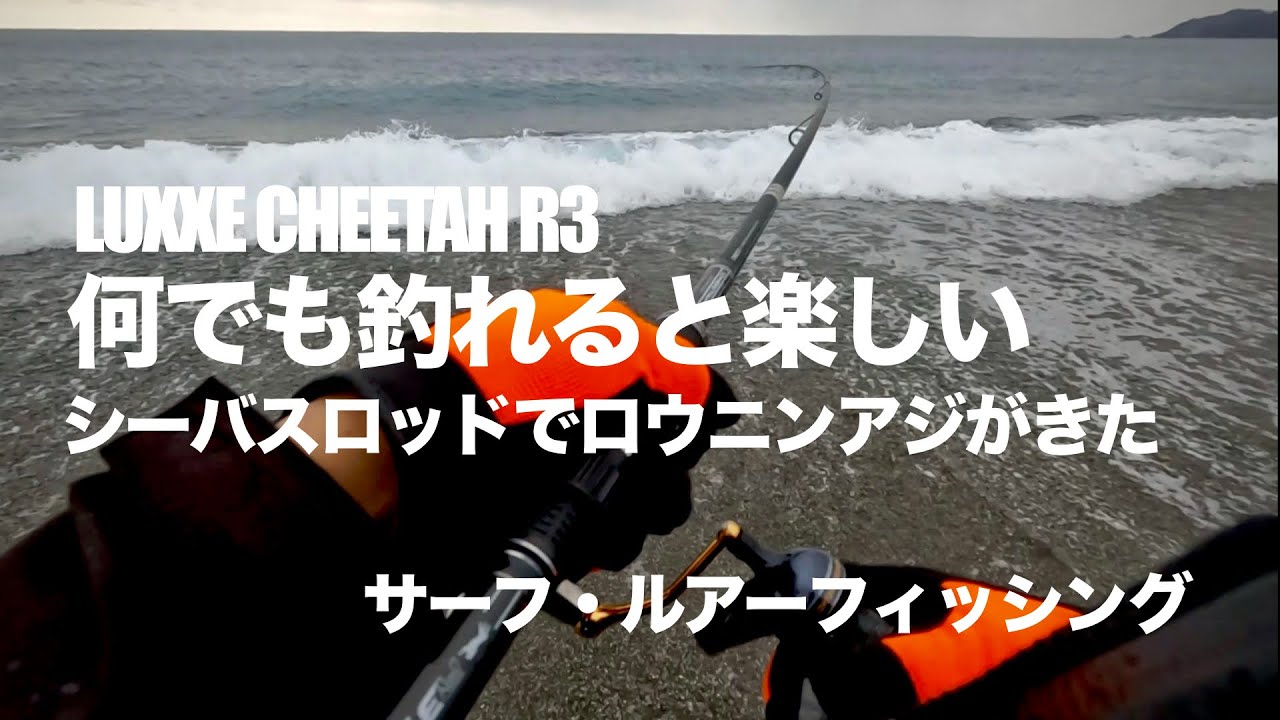 LUXXE CHEETAH R3 シーバスロッドでロウニンアジがきた