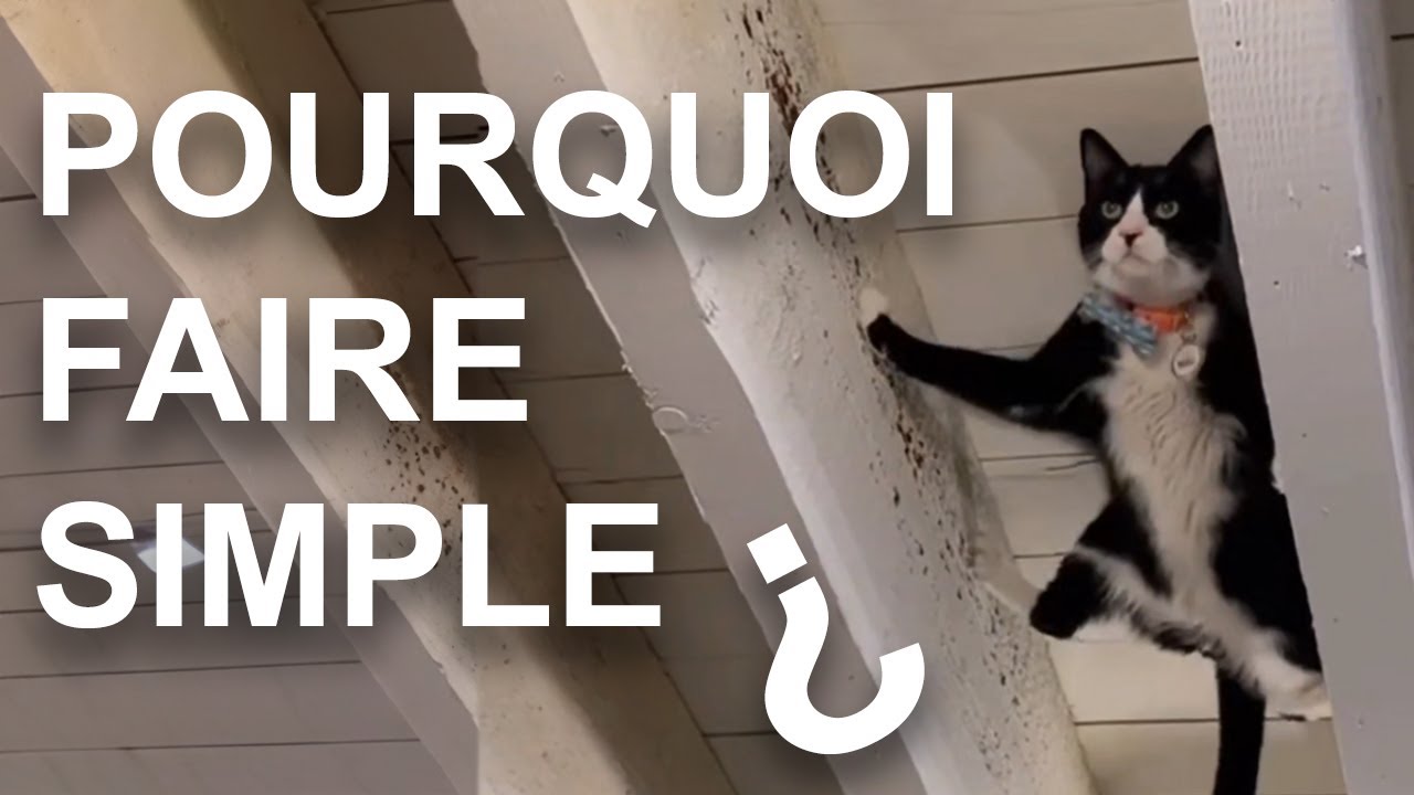 POURQUOI FAIRE SIMPLE ? 2