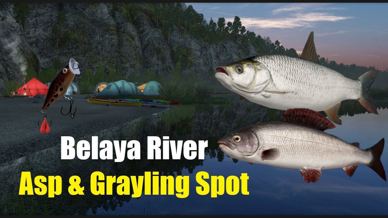 RF4 Spot Belaya River. Asp & Grayling Spot!