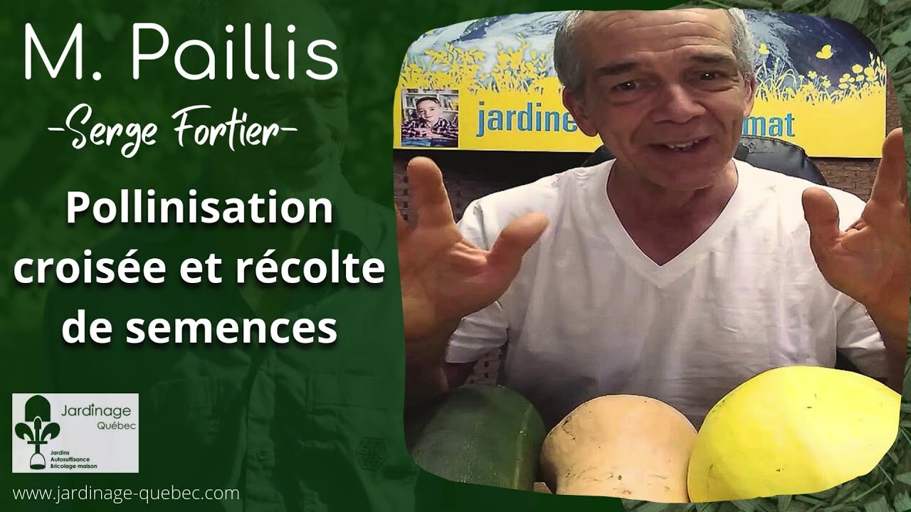 POLLINISATION CROIS&Eacute;E DES CUCURBITAC&Eacute;ES - R&Eacute;COLTE DES SEMENCES AVEC SERGE FORTIER