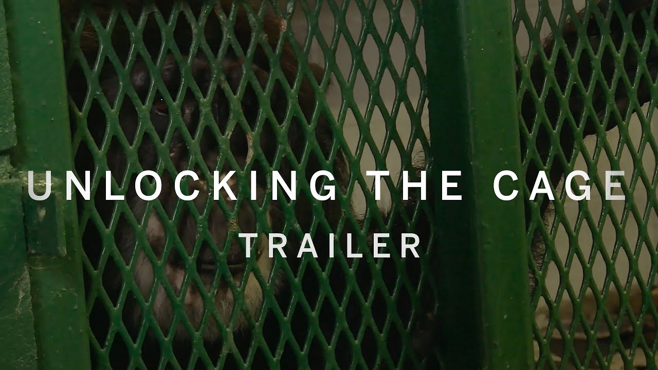UNLOCKING THE CAGE Trailer | TIFF 2016