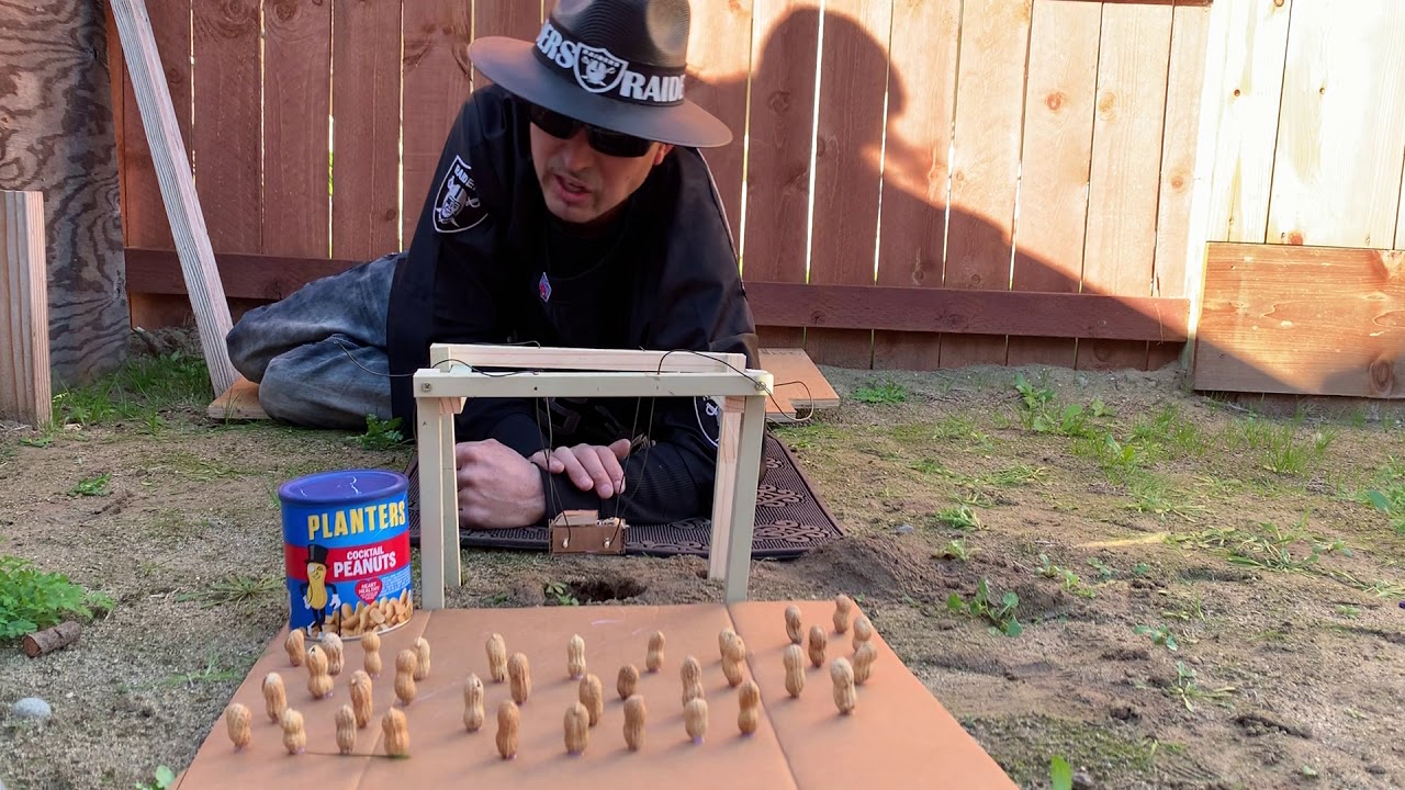 Mr peanut funeral 🥜  Super Bowl half time