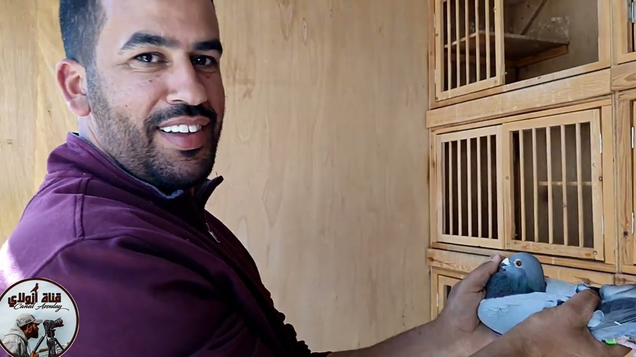 القناة العالمية تقدم لكم حمام ممتاز للبيع لمن يهمه الامر يتصل على الرقم 0638767601