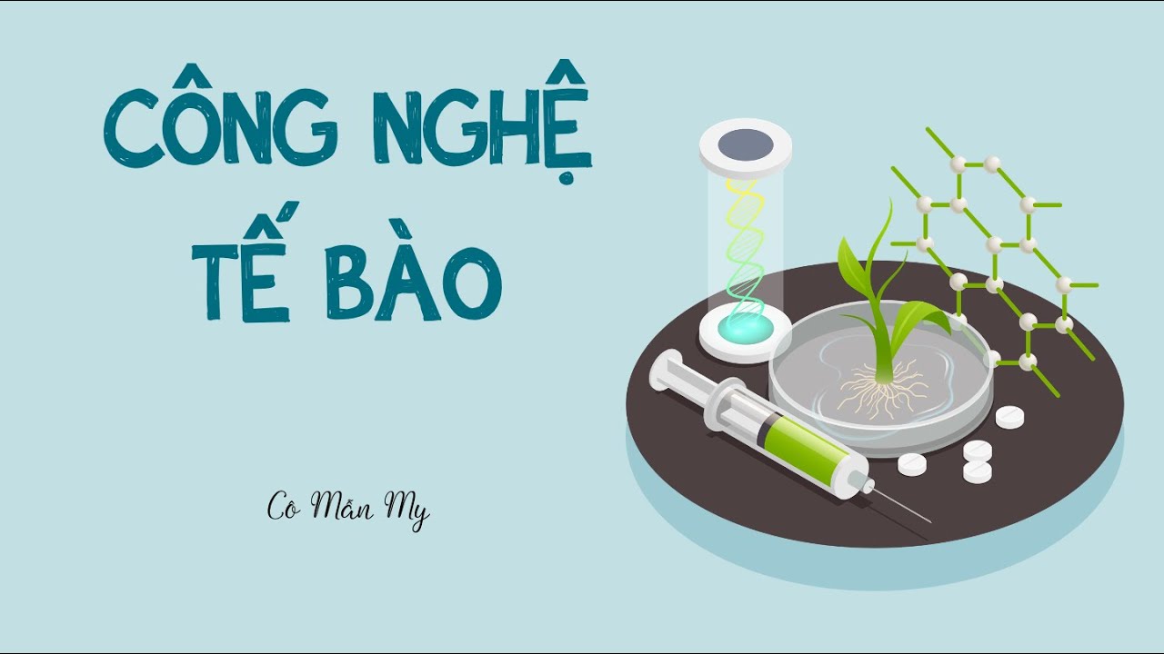 Công nghệ tế bào (phần 2) - Sinh học 10 - Kết nối tri thức với cuộc sống -  OLM.VN