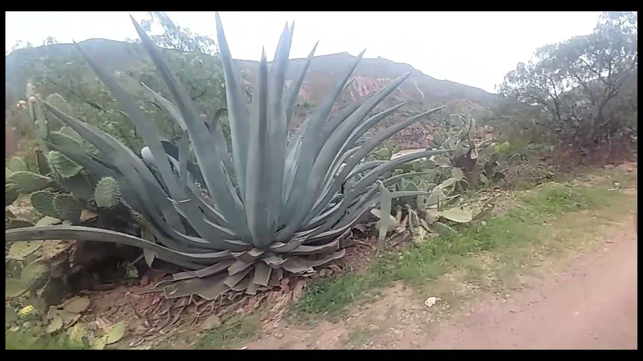 Huancarucma - Cangallo paseo en Combi
