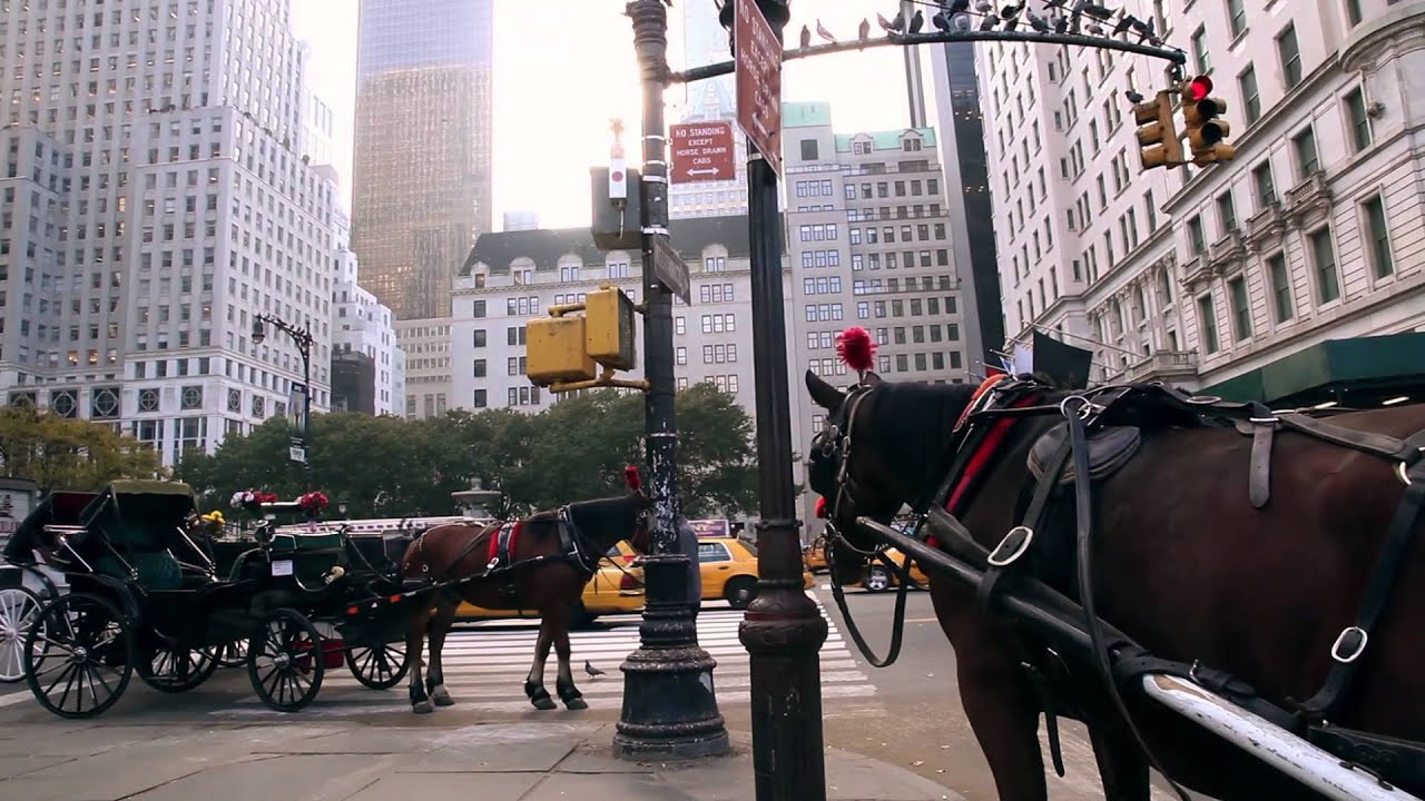 Scatter My Ashes At Bergdorf's (Dir. Matthew Miele) Mary-Kate Olsen Ashley Olsen Candice Bergen