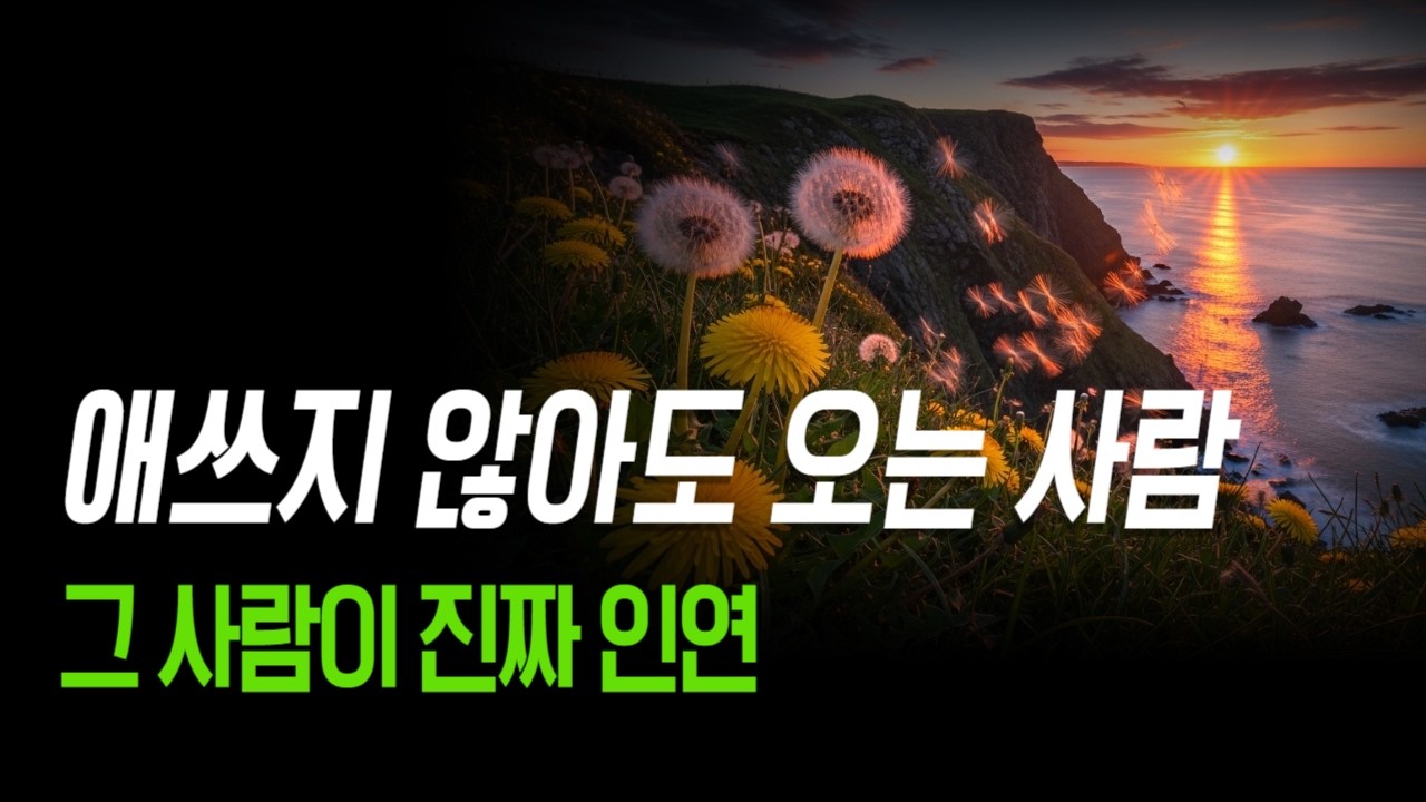 애쓰지 않아도 곁에 오는 사람, 그 사람이 당신 인생에서 절대 놓치면 안 될 진짜 인연입니다