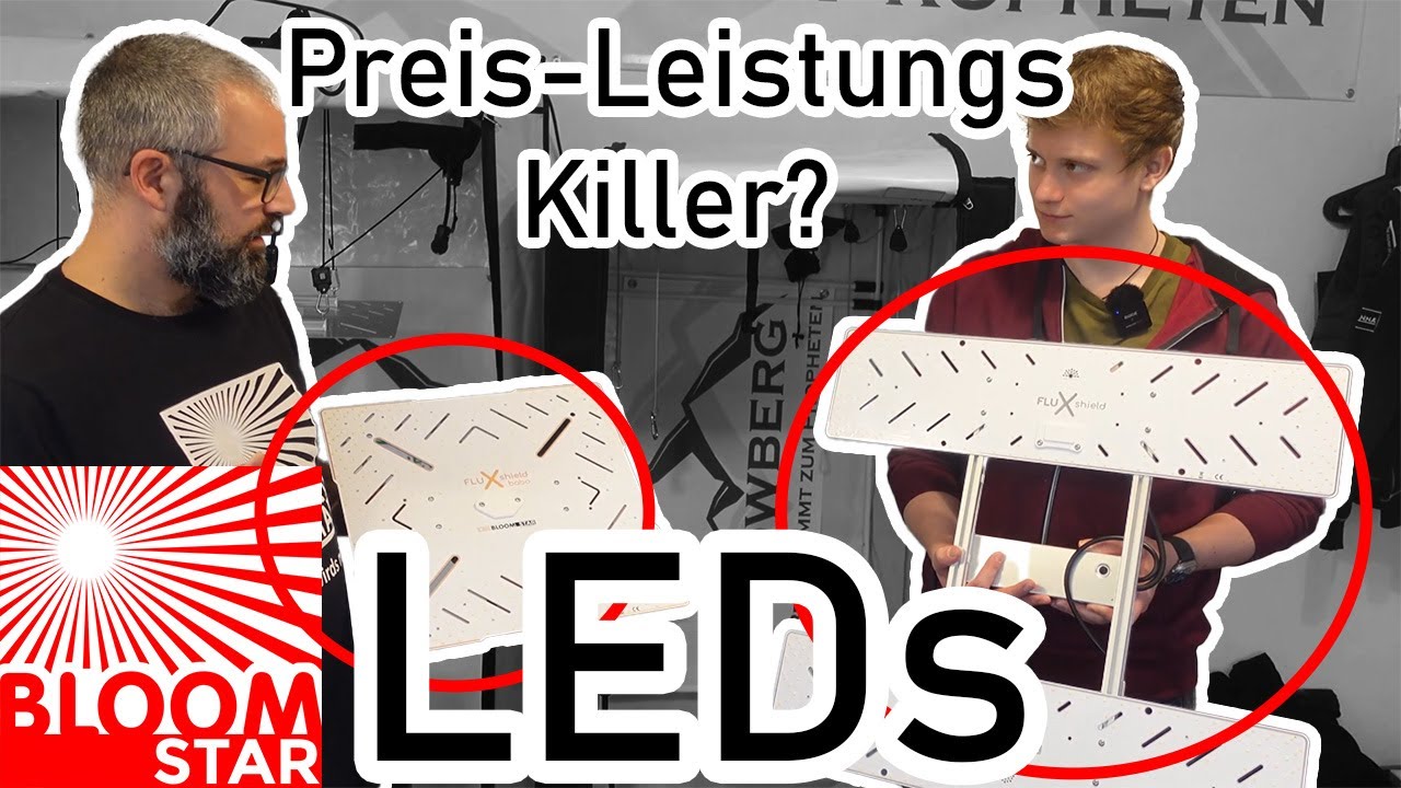 LED Grow Lampen im Growberg - Check | Viel Licht f&uuml;r wenig Geld? Bloomstar rein, gl&uuml;cklich sein ?