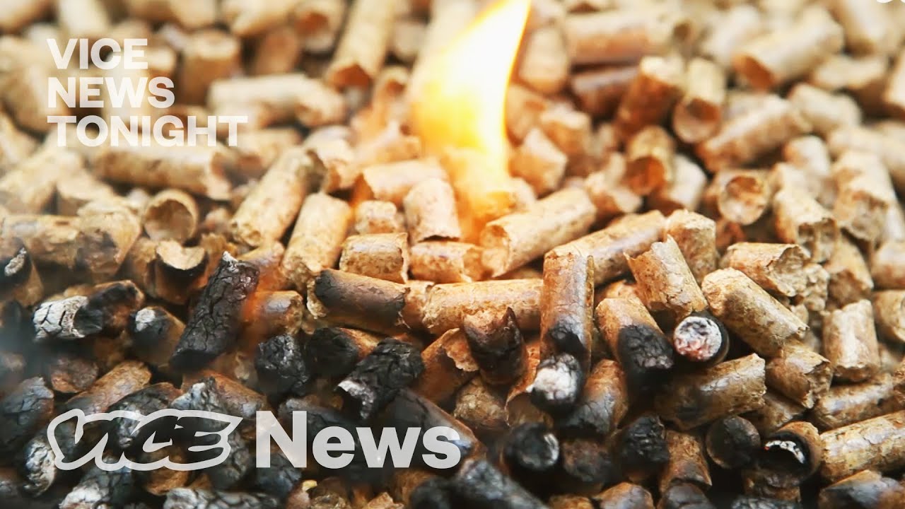 America’s Trees Are Being Burned for Fuel Overseas