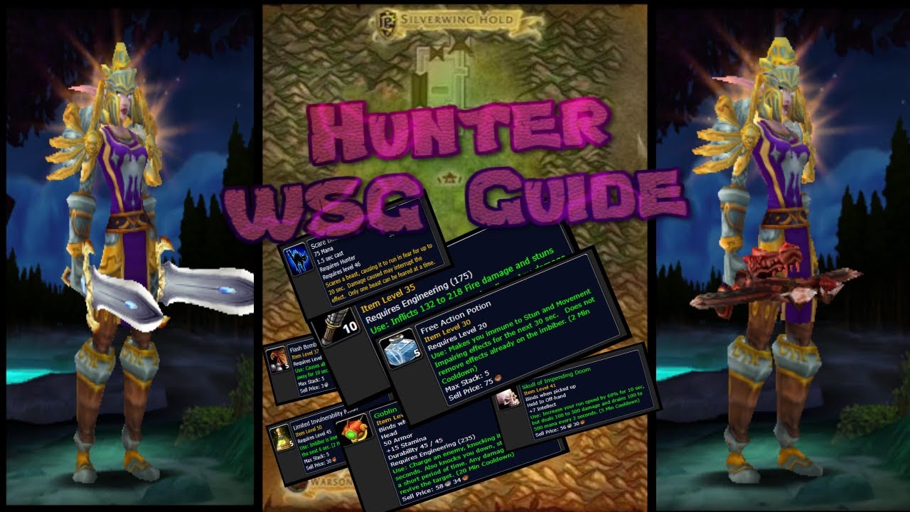 Classic WoW - WSG Guide - Hunter Basics
