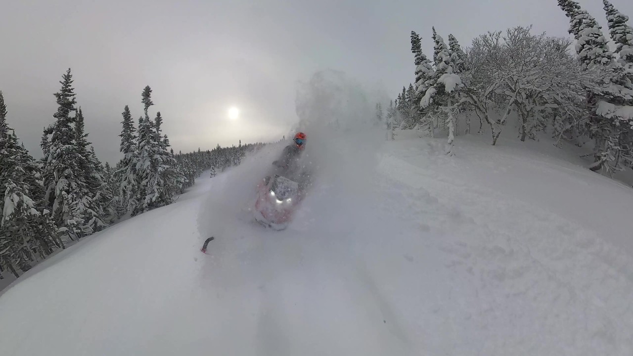 Tearing Up Some Powder - Shredder RE Turbo - Northern Peninsula Newfoundland - January 29th 2026 -4K