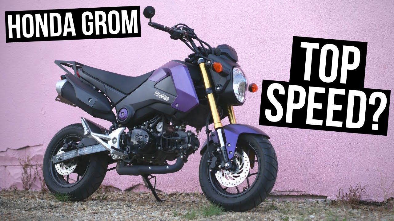 Honda GROM Top Speed & Highway