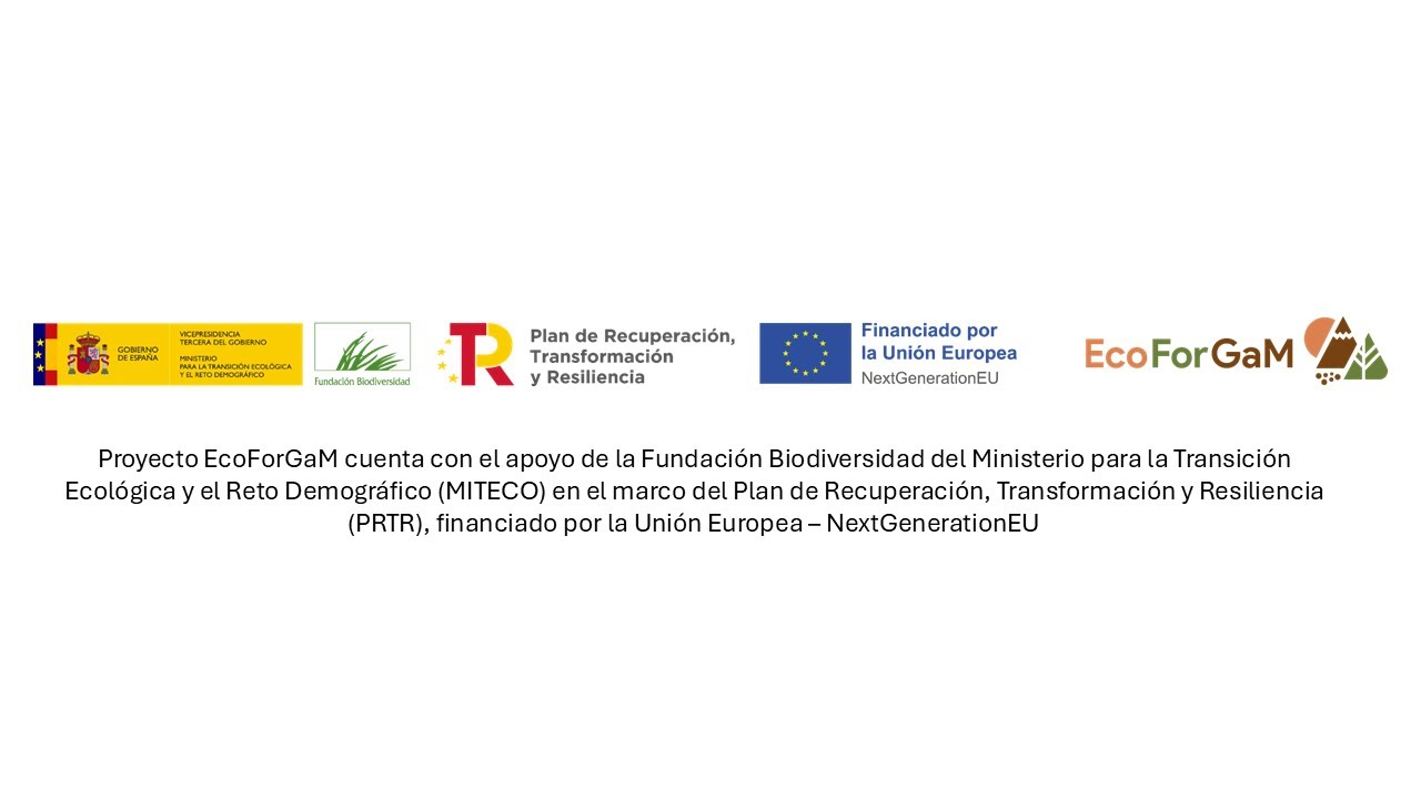 EcoForGaM | Promoviendo la Bioeconomía Forestal en socio-ecosistemas de montaña