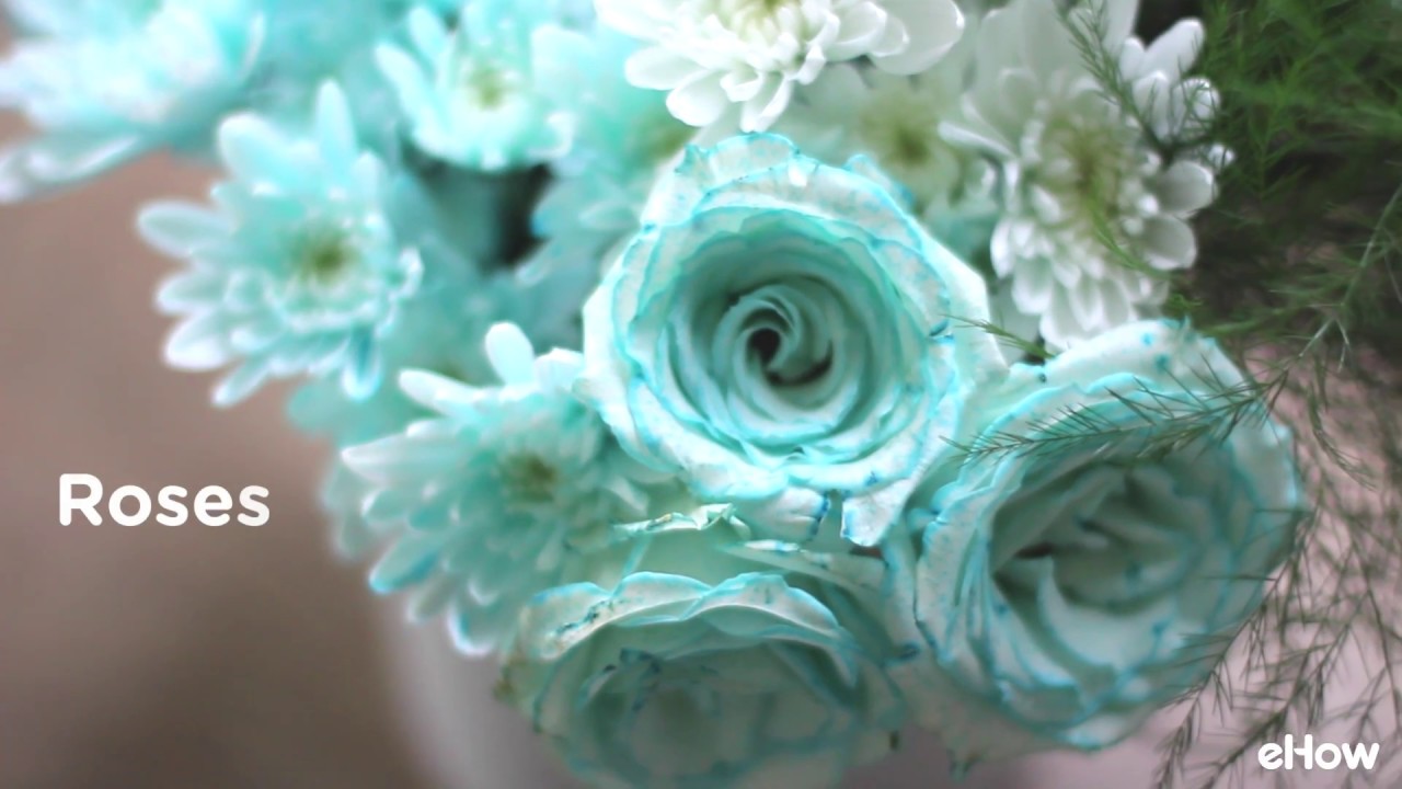 How to Dye Flowers Any Color You Want