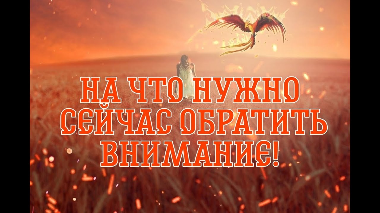 ЭТО ВАЖНО!  ДЛЯ ВАС!...Таро расклад|Таро исцеление|
