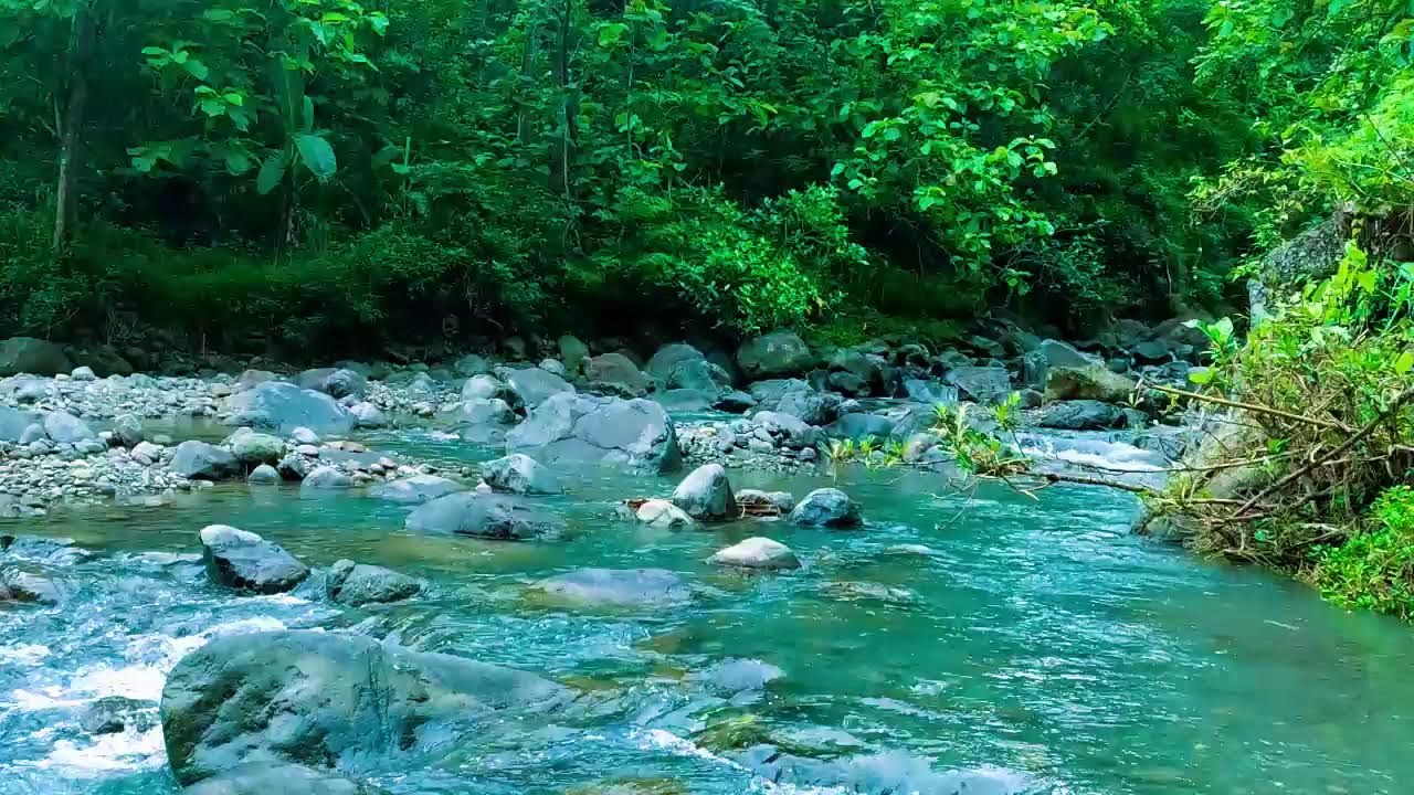 Magical Forest Atmosphere, Flowing Water, Forest Sounds, Soothing ASMR