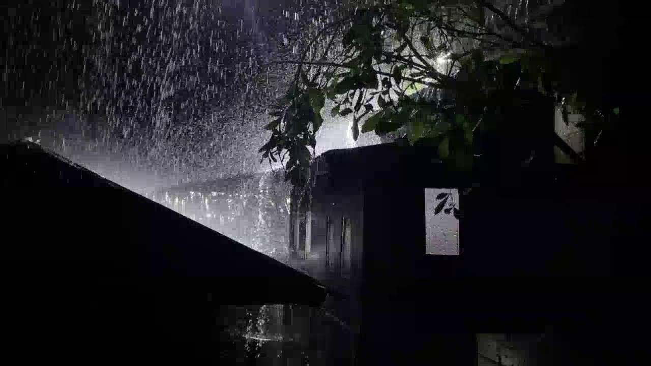 Strong Rain Sounds on Tin Roof for Deep Sleep