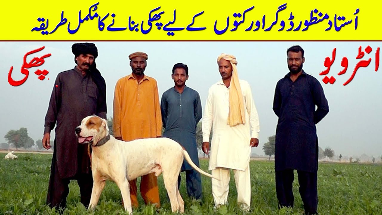 Bully Dog diet tips And Interview Ustad Munzoor Doger Sicrit of Deit Bully Dog By Nafa TV HD
