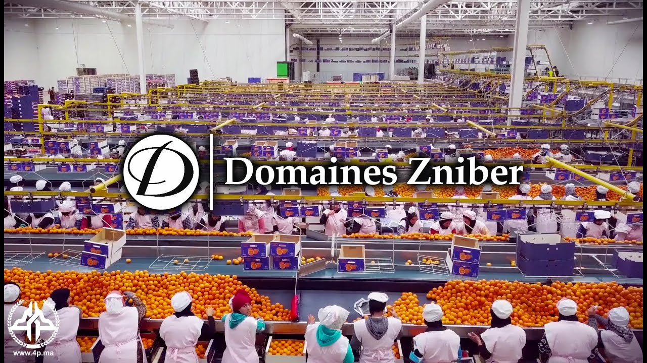 Berkane Packaging by ZNIBER, le plus grand exportateur d'orange au Maroc Video by 4P team
