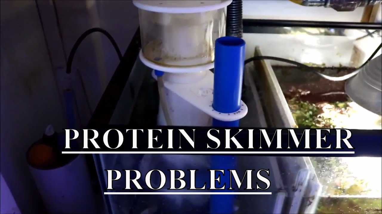 Skimmer Problems