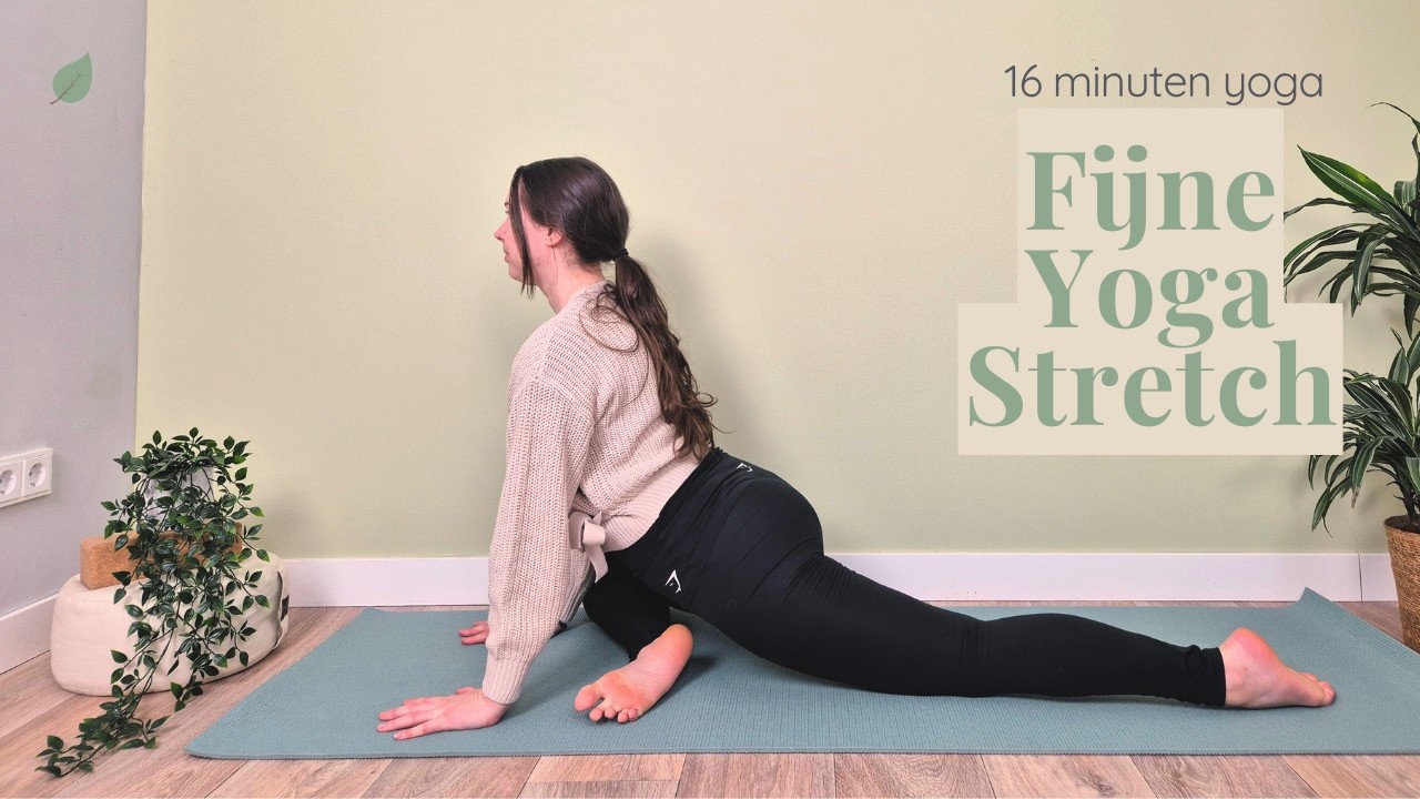 Rustige Yogales voor een Fijne Stretch voor het Lichaam | 16 minuten yoga