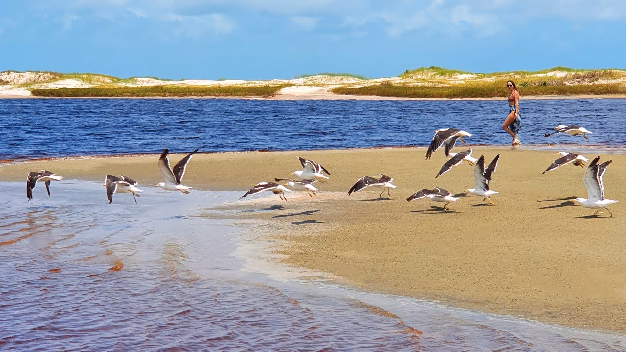 Ilha de Superagui: seus encantos e atrativos