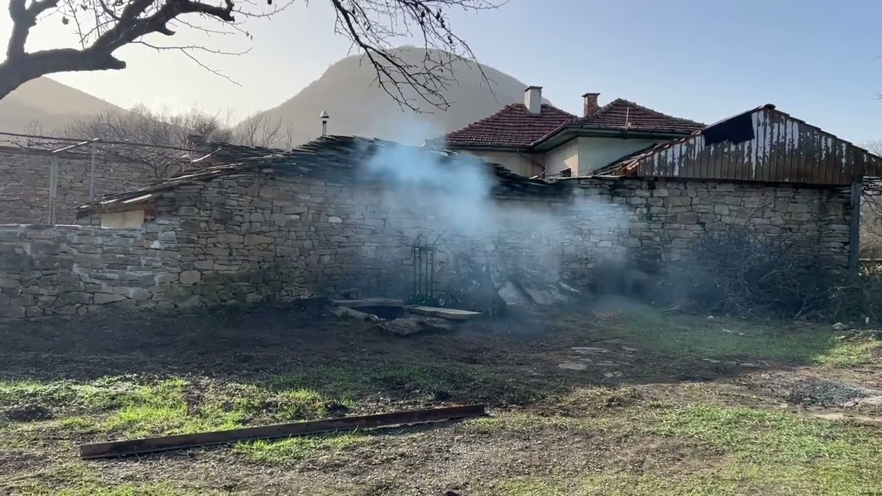 Жизнь в селе в Болгарии. Как живут переселенцы из Израиля. Подснежники в январе. 19 января 2023