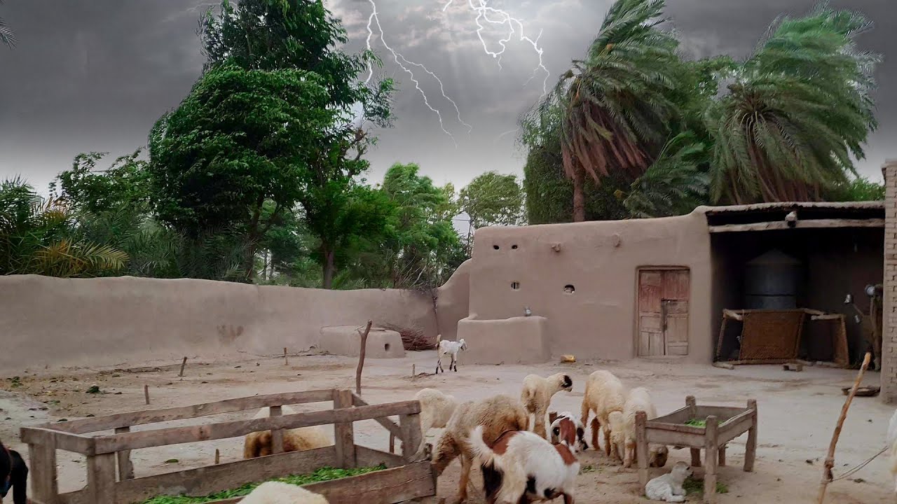 Heavy Dust Storm In Punjab, Pakistan