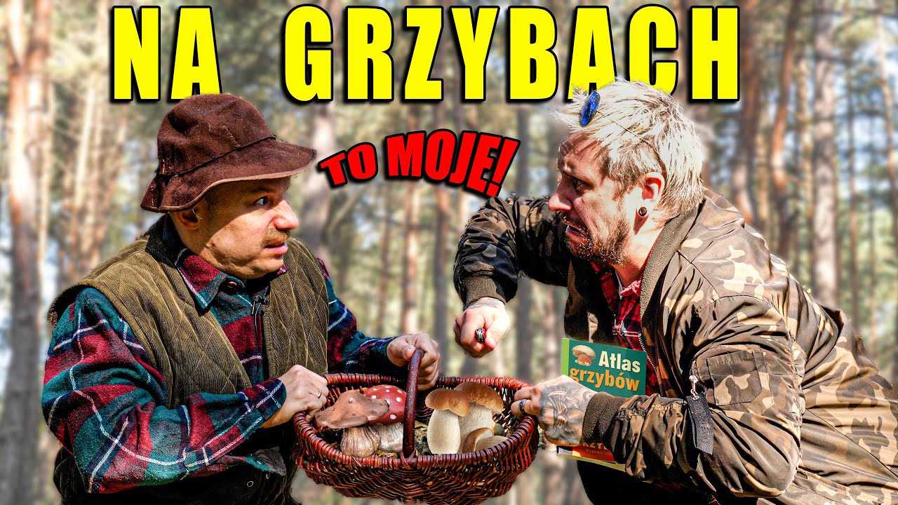 NA GRZYBACH (Prawdziwy Grzybiarz)