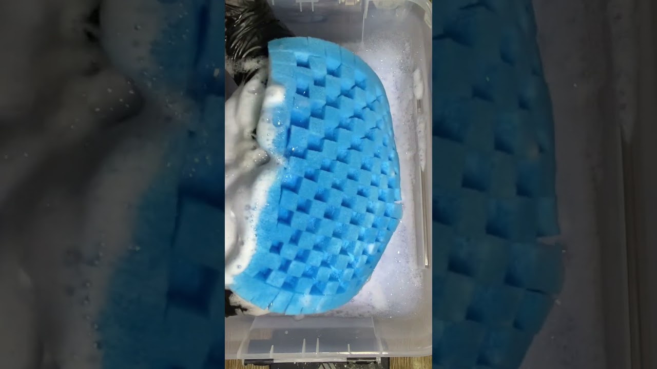 All Blue Squeeze + Grid Sponge