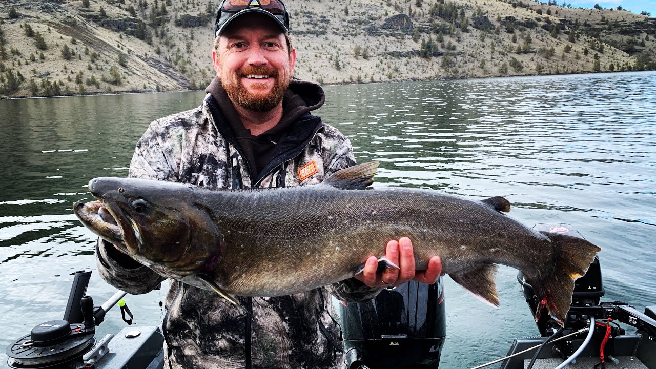 Trolling for BIG Bull Trout with Lyman Lures.  (Lake billy chinook)