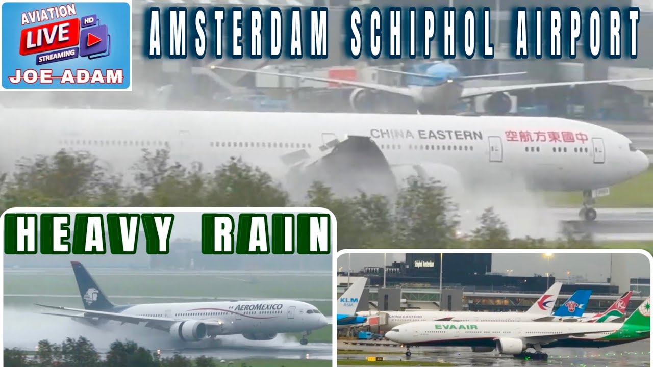 Live: Rainstorm Departures & Arrivals at Amsterdam Schiphol Airport | Tuesday 8.20.24