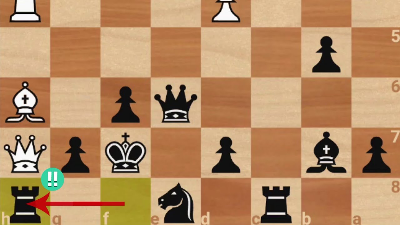 Genius Rook Sacrifice! Efim Geller Vs. Max Euwe, 1953